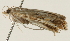  ( - Pyr001823)  @13 [ ] Copyright (2010) Unspecified Northwest Agriculture and Forest University