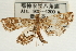 ( - Pyr001847)  @11 [ ] Copyright (2010) Unspecified Northwest Agriculture and Forest University