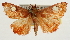  ( - Pyr001878)  @14 [ ] Copyright (2010) Unspecified Northwest Agriculture and Forest University