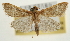  ( - Pyr001916)  @14 [ ] Copyright (2010) Unspecified Northwest Agriculture and Forest University
