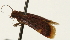  ( - Pyr001931)  @11 [ ] Copyright (2010) Unspecified Northwest Agriculture and Forest University