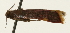  ( - Pyr001932)  @11 [ ] Copyright (2010) Unspecified Northwest Agriculture and Forest University