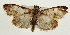  ( - Pyr002031)  @13 [ ] Copyright (2010) Unspecified Northwest Agriculture and Forest University