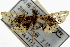  ( - Pyr000049)  @13 [ ] Copyright (2010) Unspecified Northwest Agriculture and Forest University