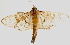  ( - Pyr000183)  @11 [ ] Copyright (2010) Unspecified Northwest Agriculture and Forest University