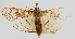  ( - Pyr000184)  @11 [ ] Copyright (2010) Unspecified Northwest Agriculture and Forest University