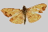  ( - Pyr000220)  @13 [ ] Copyright (2010) Unspecified Northwest Agriculture and Forest University