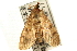  ( - Pyr000274)  @12 [ ] Copyright (2010) Unspecified Northwest Agriculture and Forest University