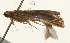  ( - Pyr000887)  @11 [ ] Copyright (2010) Unspecified Northwest Agriculture and Forest University