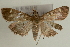  ( - Pyr000646)  @14 [ ] Copyright (2010) Unspecified Northwest Agriculture and Forest University