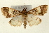  ( - Pyr000992)  @14 [ ] Copyright (2010) Unspecified Northwest Agriculture and Forest University