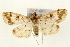  ( - Pyr000994)  @14 [ ] Copyright (2010) Unspecified Northwest Agriculture and Forest University