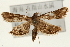  ( - Pyr001035)  @13 [ ] Copyright (2010) Unspecified Northwest Agriculture and Forest University