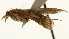  ( - Pyr001040)  @12 [ ] Copyright (2010) Unspecified Northwest Agriculture and Forest University