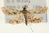  ( - Pyr001042)  @14 [ ] Copyright (2010) Unspecified Northwest Agriculture and Forest University