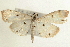  ( - Pyr000719)  @14 [ ] Copyright (2010) Unspecified Northwest Agriculture and Forest University