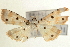  ( - Pyr000721)  @13 [ ] Copyright (2010) Unspecified Northwest Agriculture and Forest University