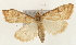 ( - Pyr001075)  @13 [ ] Copyright (2010) Unspecified Northwest Agriculture and Forest University