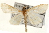  ( - Pyr001086)  @13 [ ] Copyright (2010) Unspecified Northwest Agriculture and Forest University