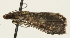  ( - Pyr001160)  @12 [ ] Copyright (2010) Unspecified Northwest Agriculture and Forest University
