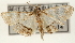  ( - Pyr001226)  @13 [ ] Copyright (2010) Unspecified Northwest Agriculture and Forest University