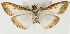  ( - Pyr001252)  @13 [ ] Copyright (2010) Unspecified Northwest Agriculture and Forest University