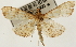  ( - Pyr001328)  @11 [ ] Copyright (2010) Unspecified Northwest Agriculture and Forest University