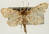  ( - Pyr001330)  @11 [ ] Copyright (2010) Unspecified Northwest Agriculture and Forest University