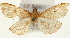  ( - Pyr001332)  @14 [ ] Copyright (2010) Unspecified Northwest Agriculture and Forest University