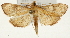 ( - Pyr001336)  @14 [ ] Copyright (2010) Unspecified Northwest Agriculture and Forest University
