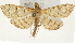  ( - Pyr001337)  @14 [ ] Copyright (2010) Unspecified Northwest Agriculture and Forest University
