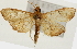 ( - Pyr001341)  @14 [ ] Copyright (2010) Unspecified Northwest Agriculture and Forest University