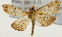 ( - Pyr001343)  @14 [ ] Copyright (2010) Unspecified Northwest Agriculture and Forest University