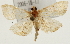  ( - Pyr001344)  @14 [ ] Copyright (2010) Unspecified Northwest Agriculture and Forest University