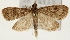  ( - Pyr001350)  @14 [ ] Copyright (2010) Unspecified Northwest Agriculture and Forest University