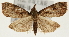  ( - Pyr001352)  @13 [ ] Copyright (2010) Unspecified Northwest Agriculture and Forest University
