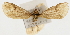  ( - Pyr001394)  @12 [ ] Copyright (2010) Unspecified Northwest Agriculture and Forest University