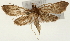  ( - Pyr001445)  @14 [ ] Copyright (2010) Unspecified Northwest Agriculture and Forest University