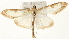  ( - Pyr001454)  @14 [ ] Copyright (2010) Unspecified Northwest Agriculture and Forest University