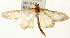  ( - Pyr001462)  @14 [ ] Copyright (2010) Unspecified Northwest Agriculture and Forest University