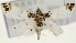  (Analyta apicalis - Pyr001470)  @14 [ ] Copyright (2010) Unspecified Northwest Agriculture and Forest University