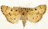  (Dichocrocis sp. 1 ZY - Pyr001569)  @11 [ ] Copyright (2010) Unspecified Northwest Agriculture and Forest University