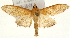  ( - Pyr001574)  @14 [ ] Copyright (2010) Unspecified Northwest Agriculture and Forest University