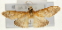  ( - Pyr001577)  @13 [ ] Copyright (2010) Unspecified Northwest Agriculture and Forest University