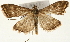  ( - Pyr001605)  @13 [ ] Copyright (2010) Unspecified Northwest Agriculture and Forest University