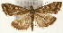  ( - Pyr001606)  @13 [ ] Copyright (2010) Unspecified Northwest Agriculture and Forest University