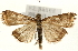  ( - Pyr001607)  @13 [ ] Copyright (2010) Unspecified Northwest Agriculture and Forest University