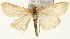  ( - Pyr001610)  @14 [ ] Copyright (2010) Unspecified Northwest Agriculture and Forest University