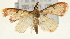  ( - Pyr001660)  @13 [ ] Copyright (2010) Unspecified Northwest Agriculture and Forest University