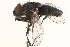  ( - BIOUG15882-F12)  @13 [ ] CreativeCommons - Attribution (2015) CBG Photography Group Centre for Biodiversity Genomics